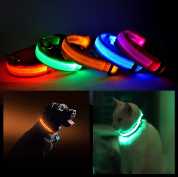 Led Pet Safety Halo Style Collar | Other