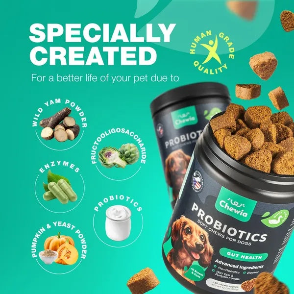 Probiotics For Dogs Gut Health Digestion Immunity Yeast Bala | Other