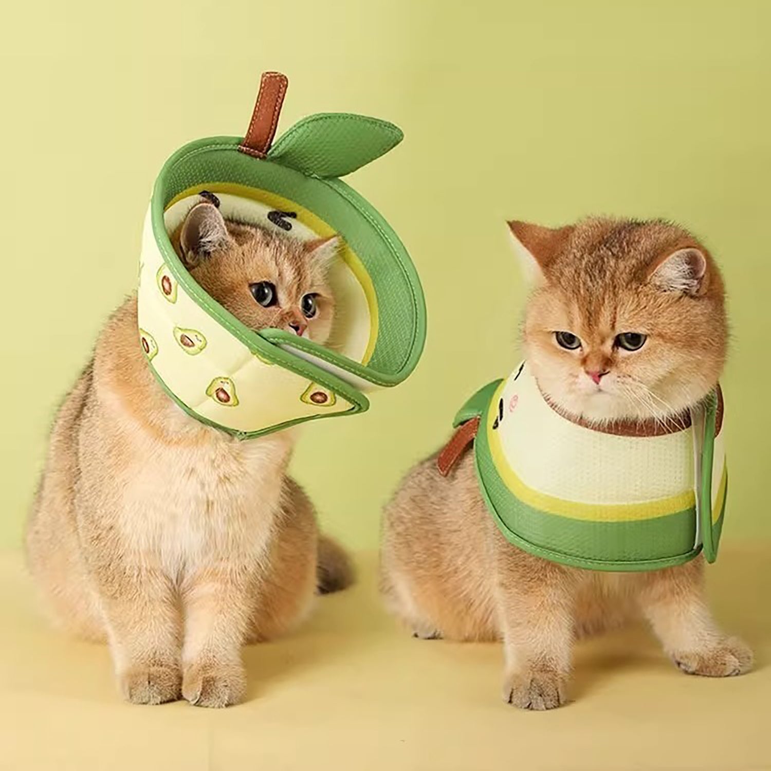 Cat Cone Collar Pet Elizabethan Collar Cat Collar Soft To St | Other