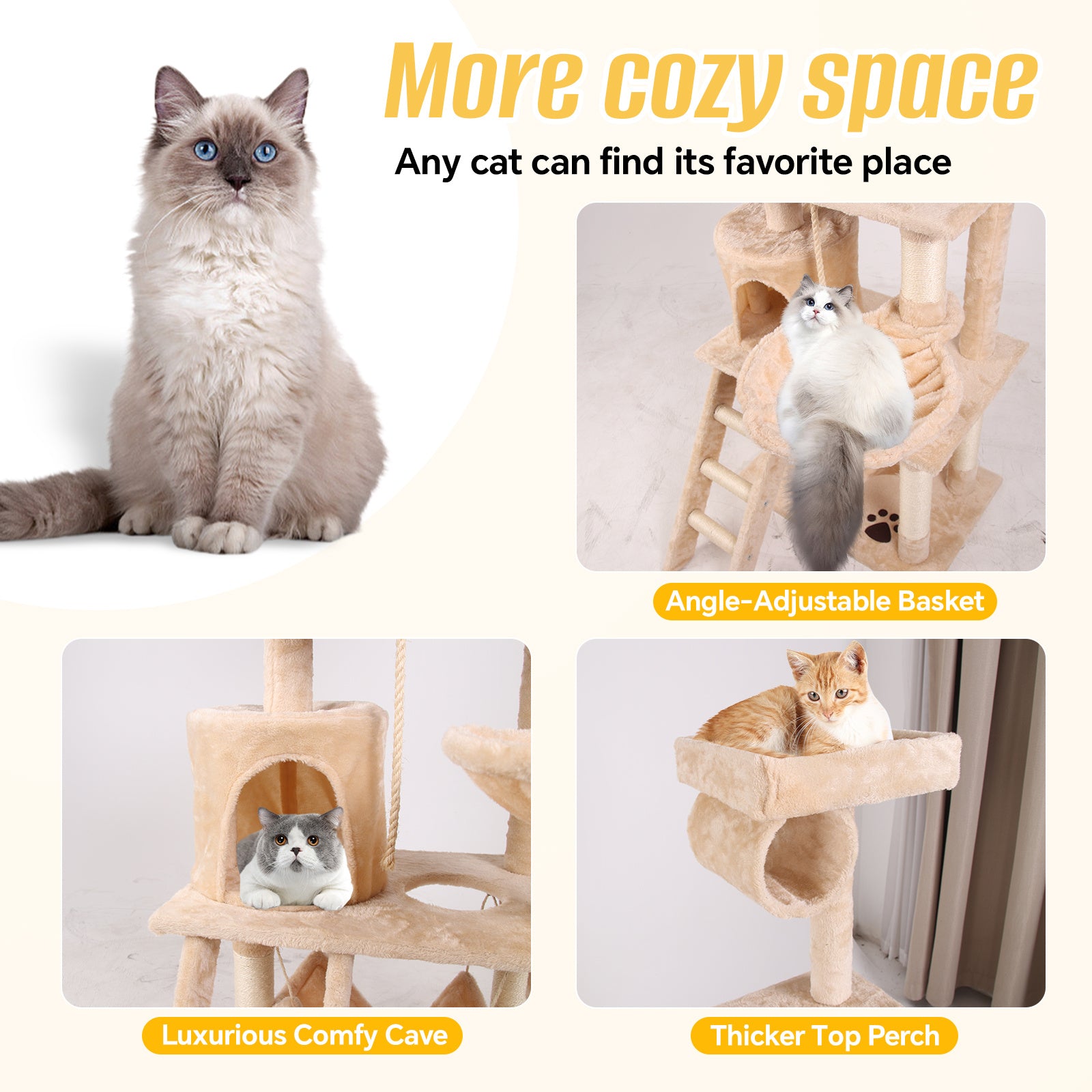 Cat Climbing Frame | Other