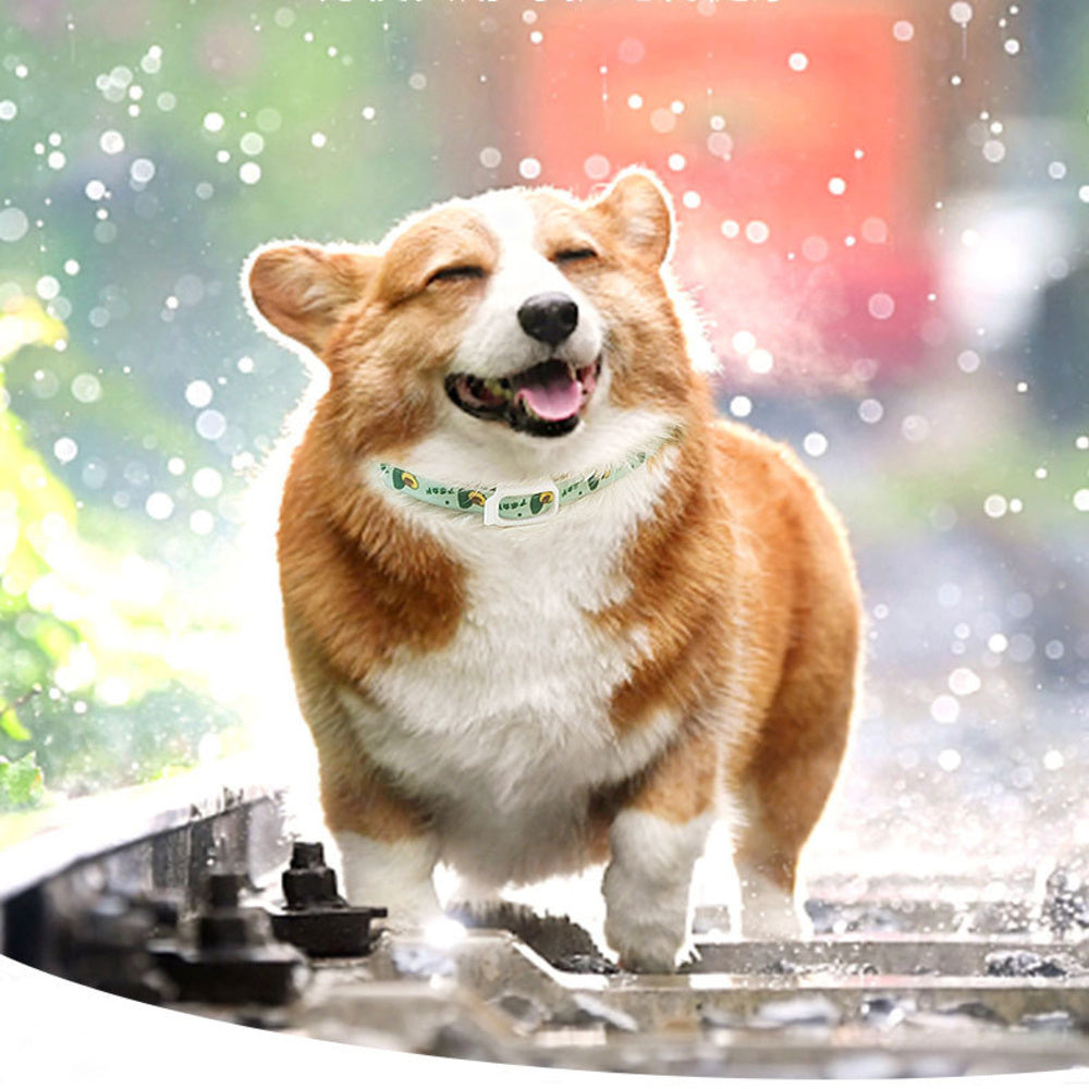 Pet Dog Repellent Collar, Cat Anti-flea Collar, Anti-lice Ex | Other