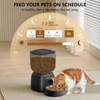 Smart Cat Feeding System - Dual Power Cat Feeder & Water Dis | Other