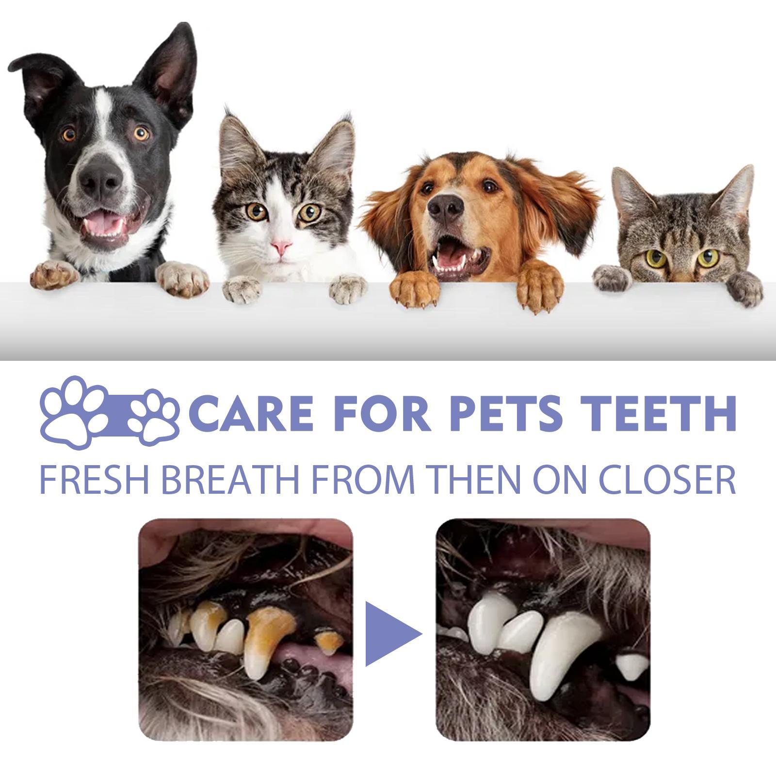 Yegebang Cat And Dog Teeth Cleaning Spray Pet Oral Cleaning | Other