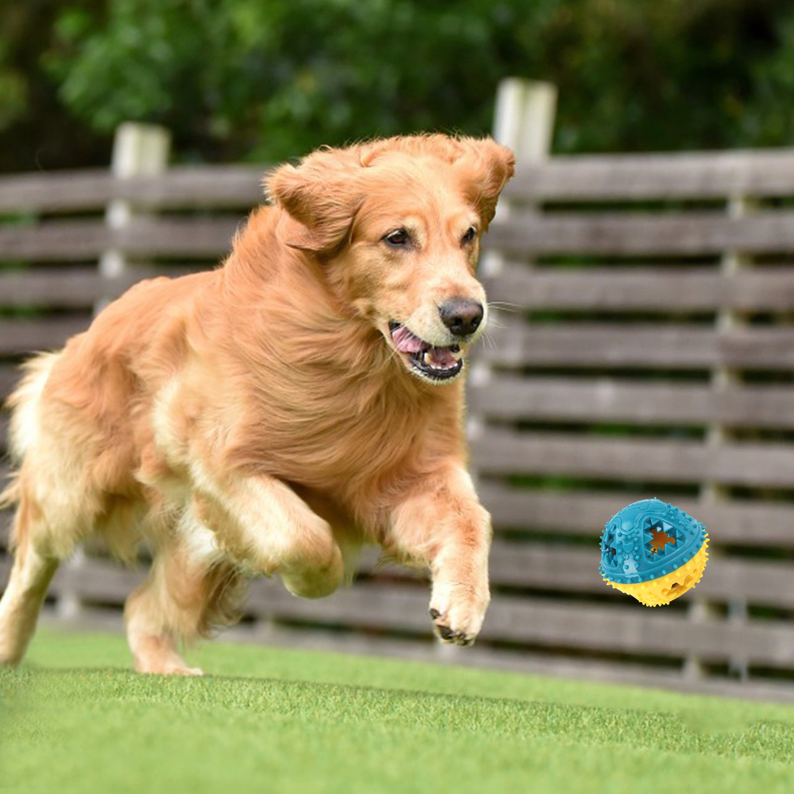 Dog Chew Toy Grinding Teeth Sound Ball Toy Leaking Food Ball | Electronic Learning Toys