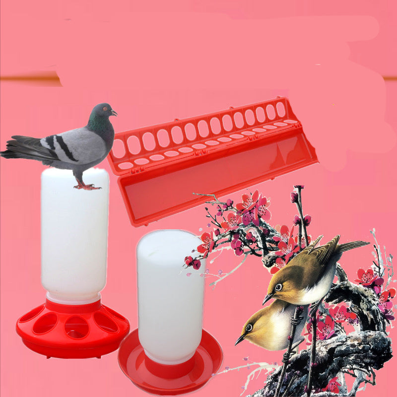 The Bird Feeds The Water Bottle To The Pigeon With A Waterer | Other