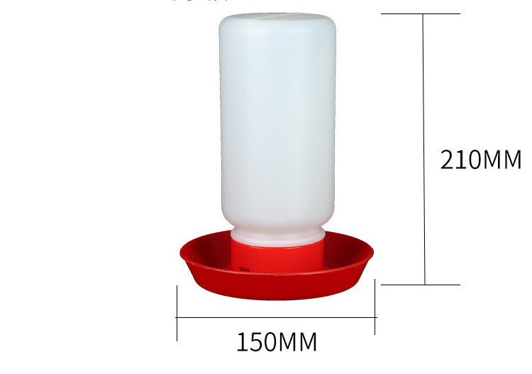 The Bird Feeds The Water Bottle To The Pigeon With A Waterer | Other