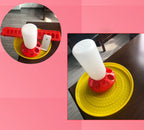The Bird Feeds The Water Bottle To The Pigeon With A Waterer | Other