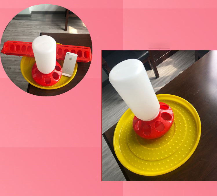 The Bird Feeds The Water Bottle To The Pigeon With A Waterer | Other