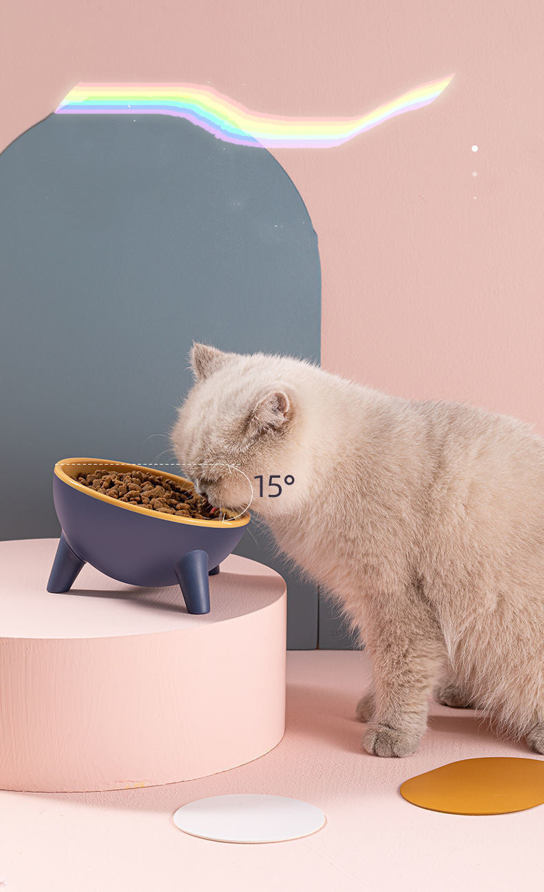 Cat Dog Bowl With Stand Pet Feeding Food Bowls Dogs Bunny Ra | Other