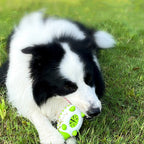 Phedgehog Shape Dog Toy Leaking Food Toy For Small Large Dog | Electronic Learning Toys