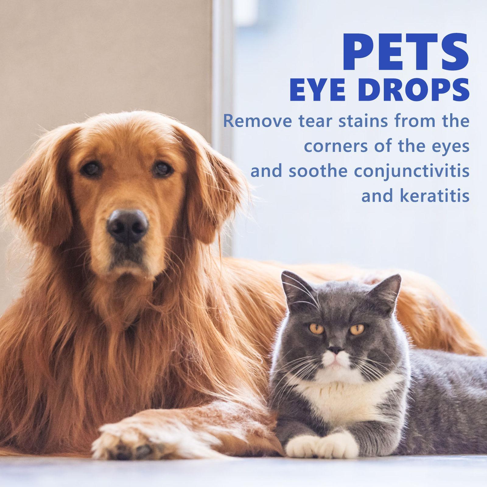 Igbang Eye Drops For Cats And Dogs Formulated With Vitamin B | Other