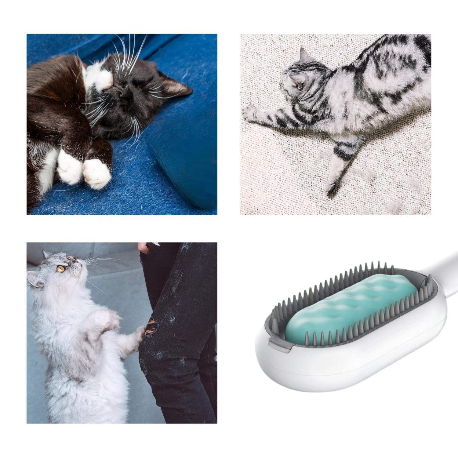 Cat Hair Brush With Water, Sticky Brush For Cats, 4 In-1 Cat | Other