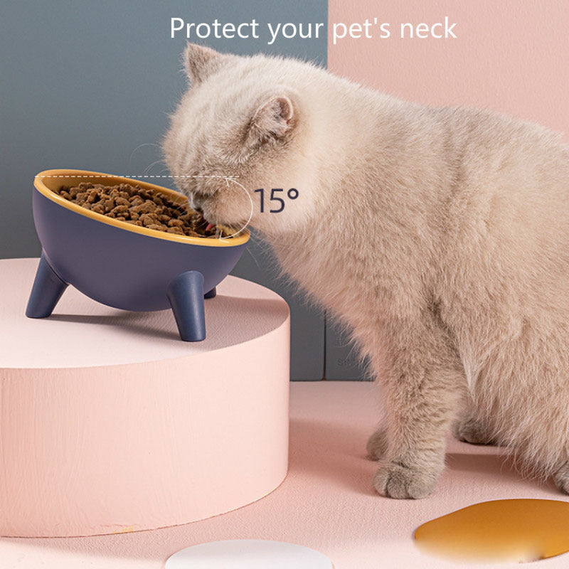 Cat Dog Bowl With Stand Pet Feeding Food Bowls Dogs Bunny Ra | Other