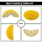 Durian Cat Brush, Dog Cat Self Groomer, Wall Corner Scratche | Other
