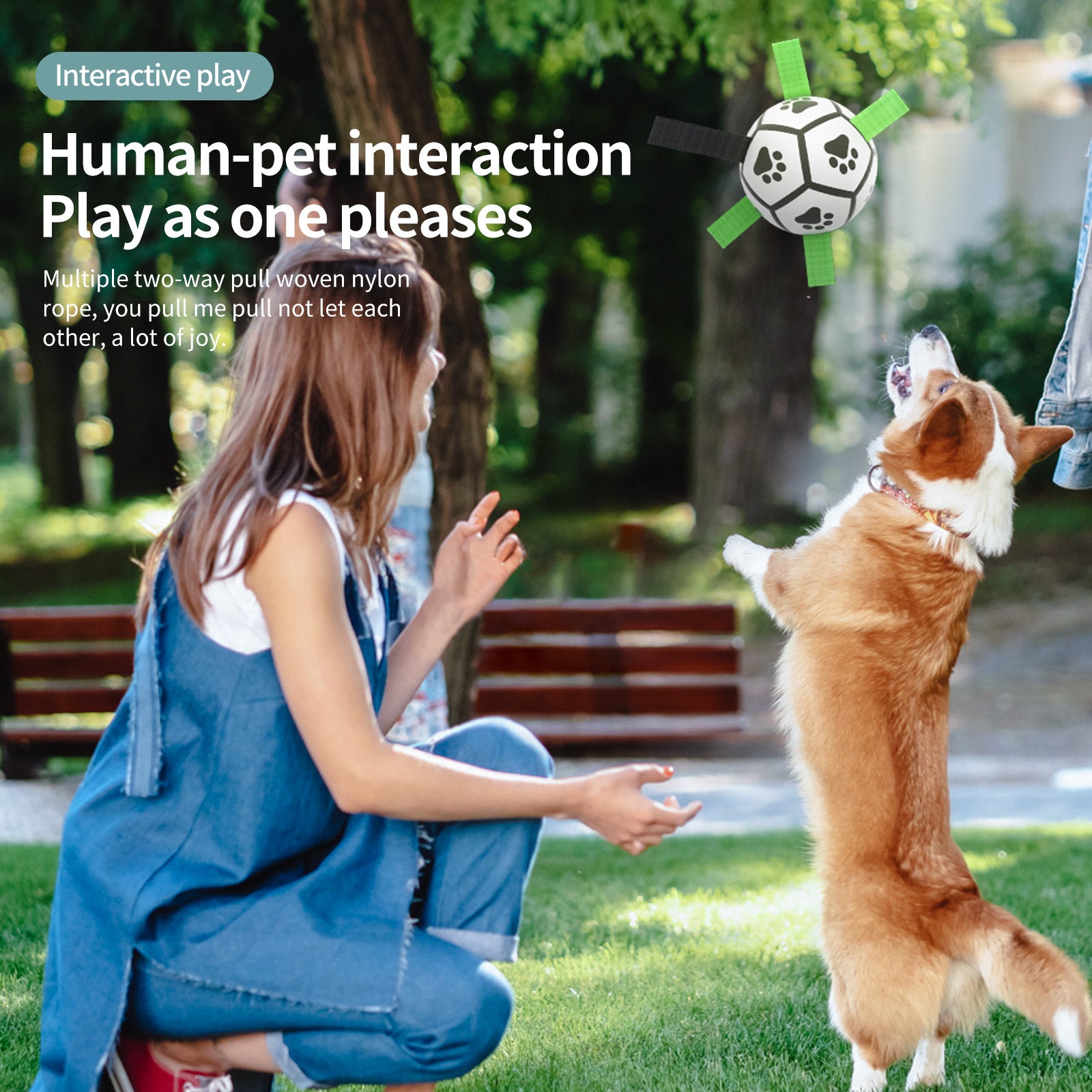 Interactive Dog Football Toy Soccer Ball Inflated Training T | Electronic Learning Toys