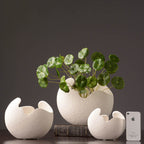 Simple White Ceramic Vase Decoration | Other