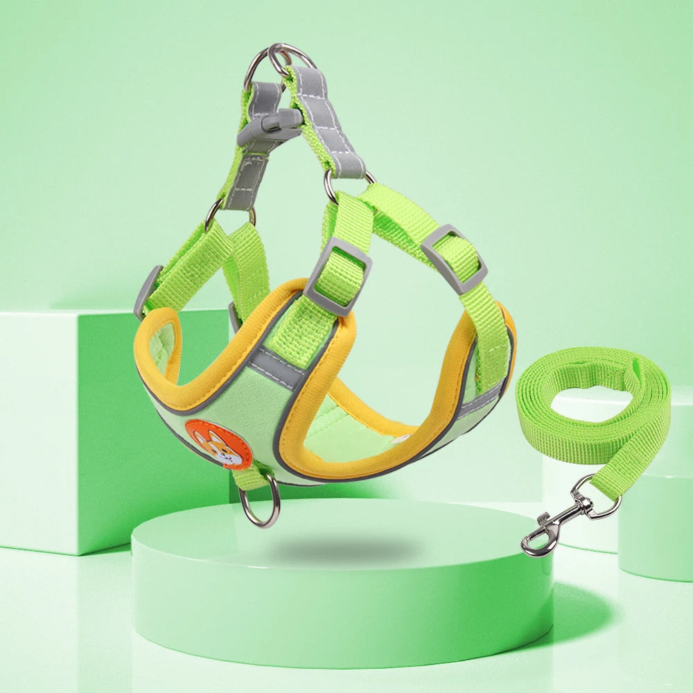 Dog Leash And Harness Set Pet Dog Harness And Leash Set | Other