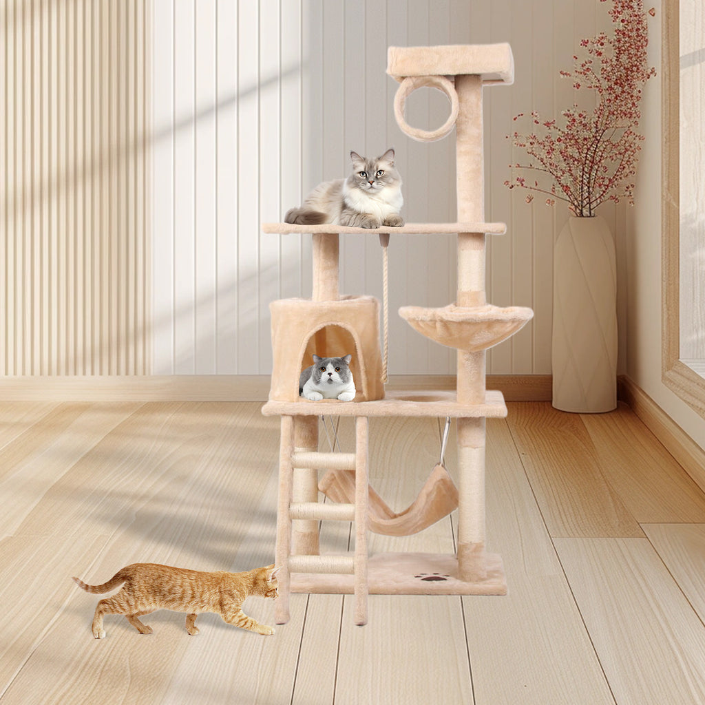 Cat Climbing Frame | Other