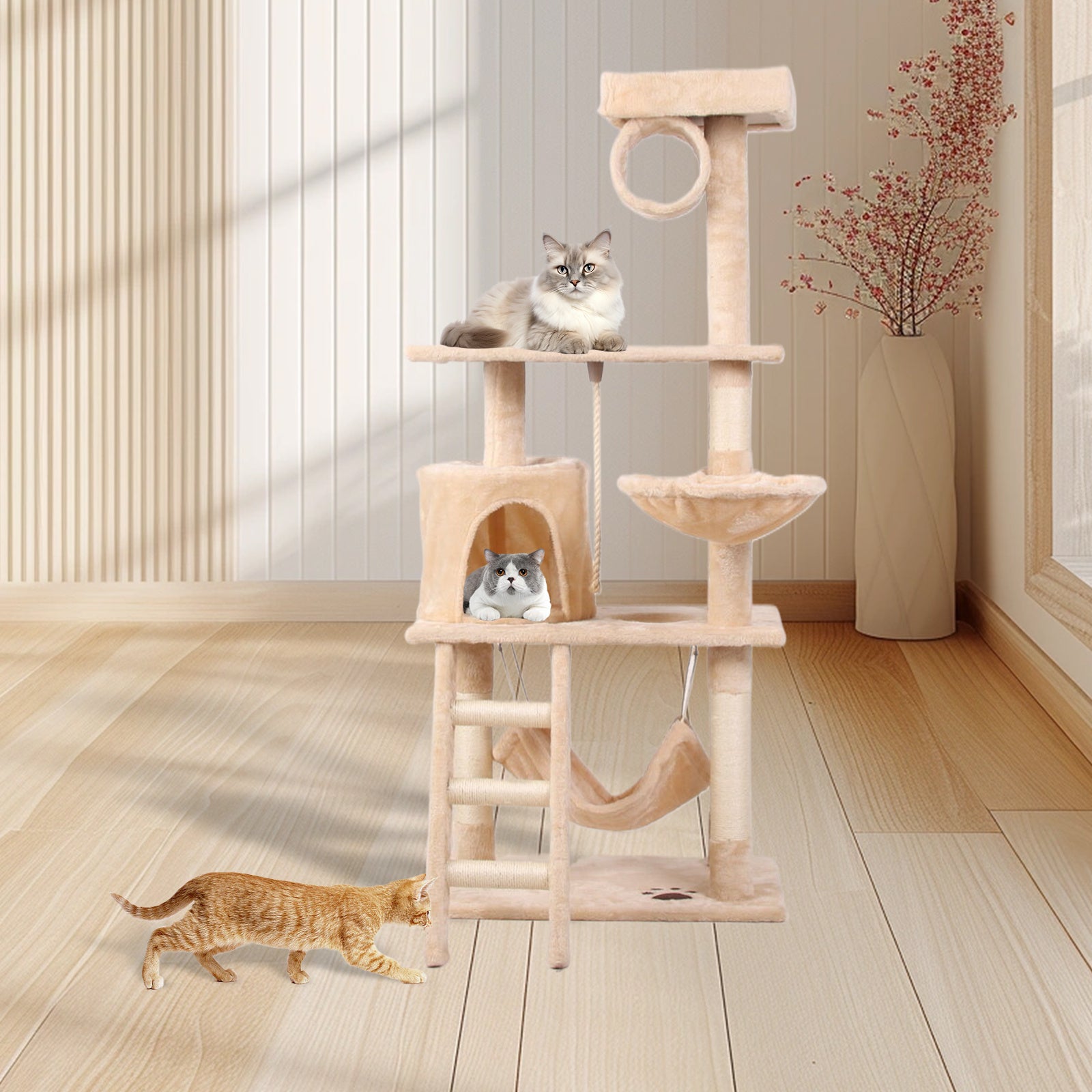 Cat Climbing Frame | Other