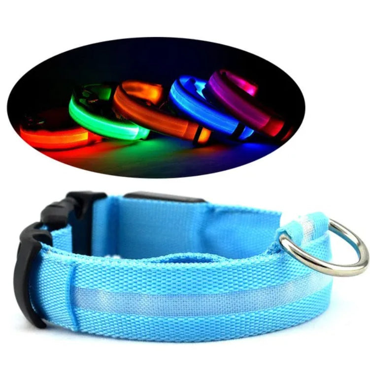 Led Pet Safety Halo Style Collar | Other