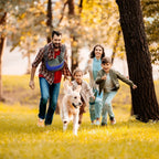 404 Popmarket Dog Carrier Bag | Luggage & Bags