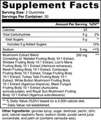 Raspberry Mushroom Gummies Extract, 60 Gummies | Other