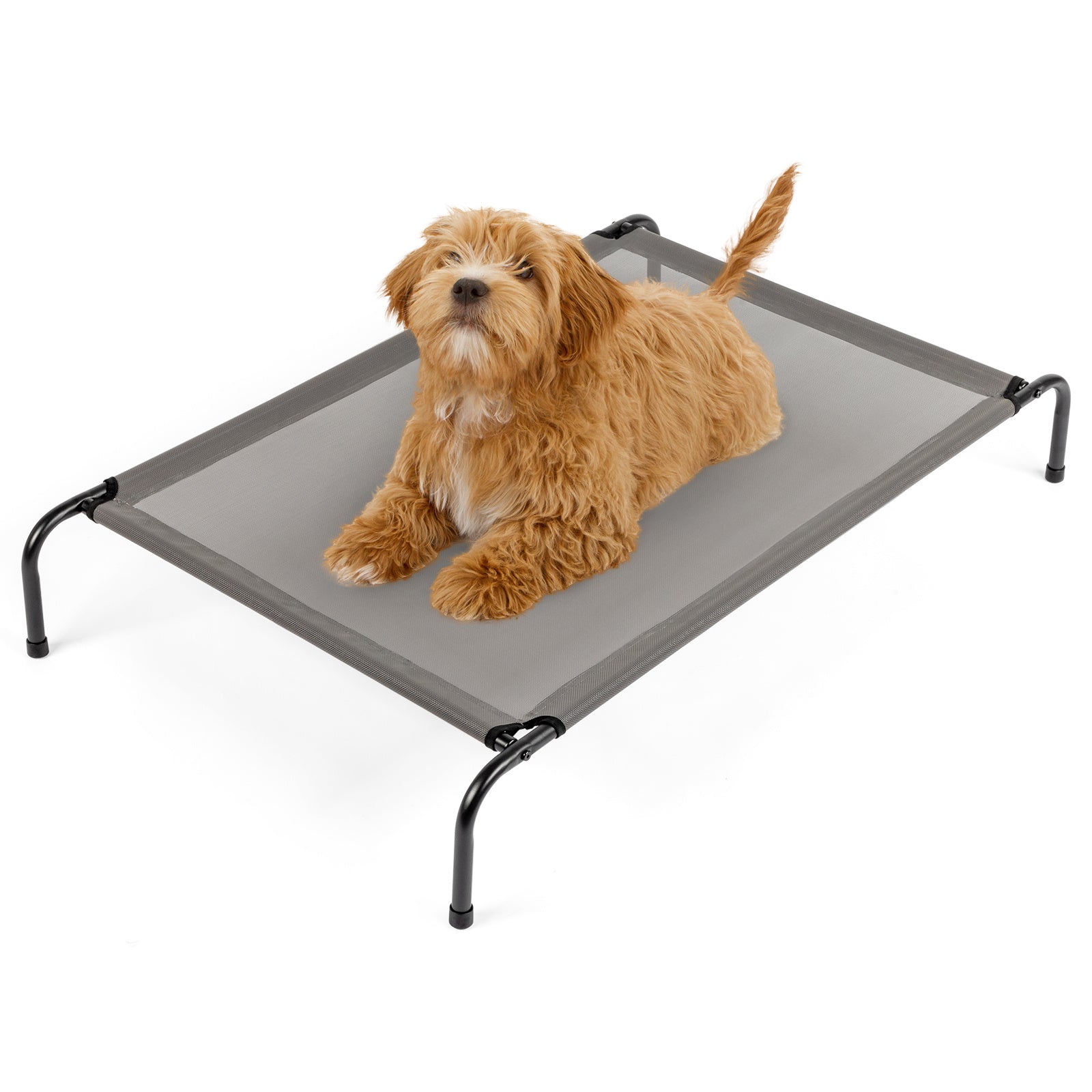 Pet Beds | Other
