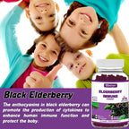 Elderberry Gummies | Other