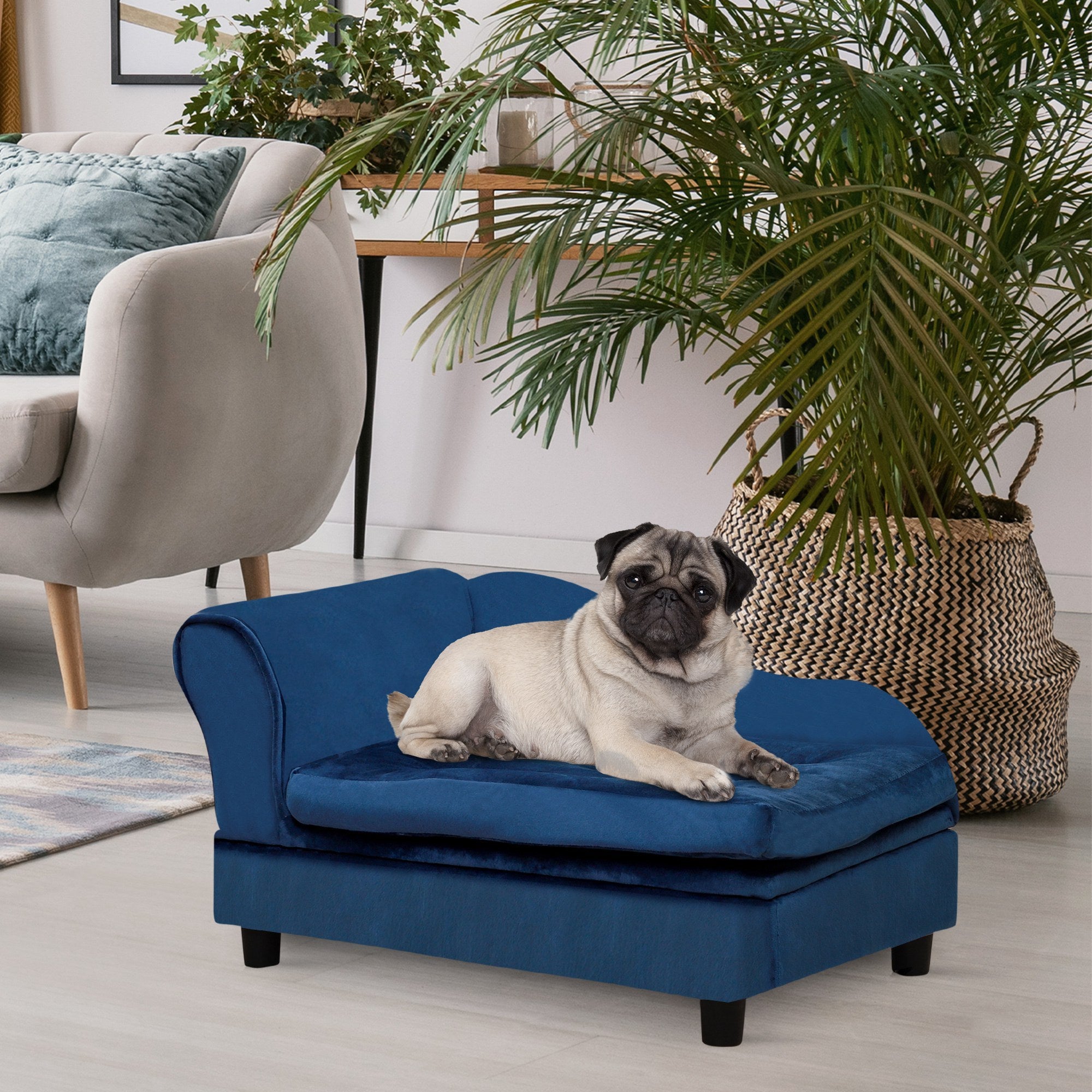 Luxury Small Dog Bed With Hidden Storage | Other