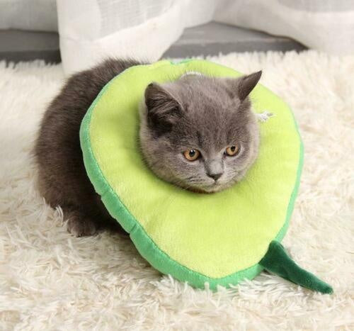 Adjustable Pet Neck Cone Recovery Pet Cat Recovery Collar Ca | Other