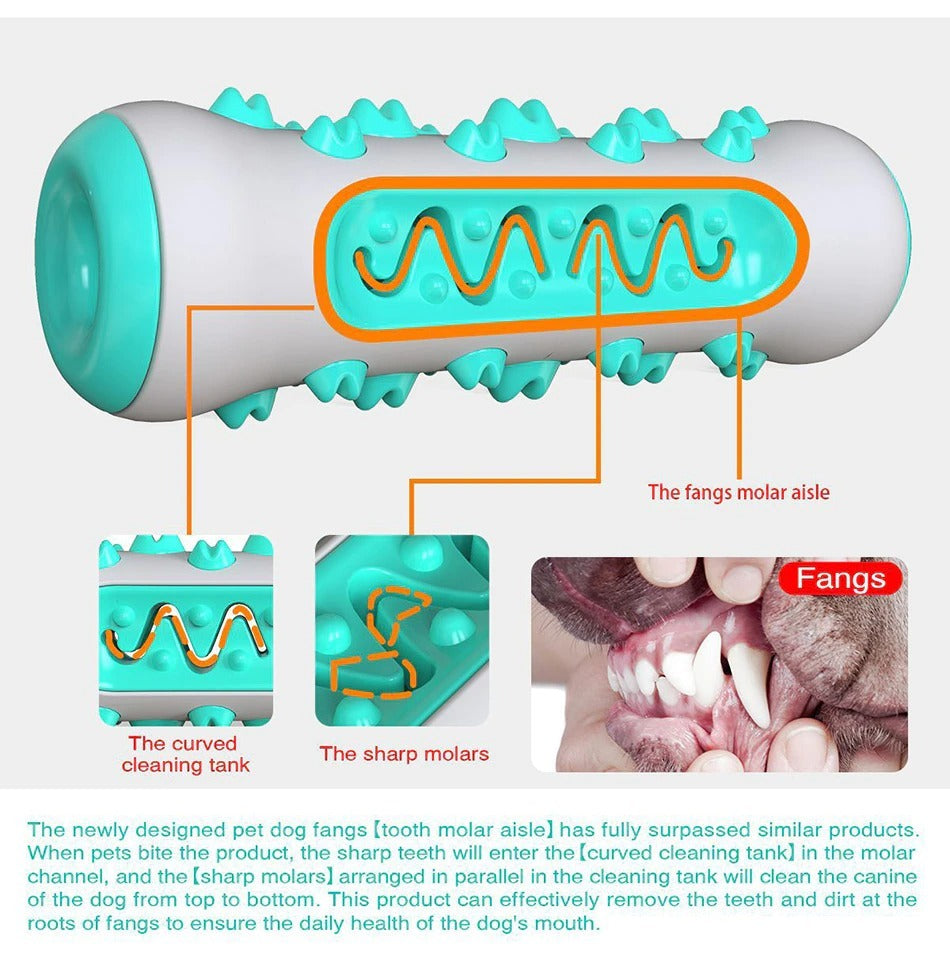 Dog Squeaky Toy For Aggressive Chewers, Tough Toothbrush Dog | Electronic Learning Toys