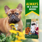 Dog Peanut Butter Bones With Cranberry Rawhide Free Chew Tre | Other