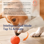 Interactive Bouncing Ball For Dogs,automatic Smart Toy, Self | Electronic Learning Toys