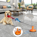 Prokel Shark Shaped Pet Toy, Interactive Twinetoy Ball Dog T | Electronic Learning Toys