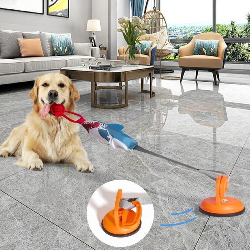 Prokel Shark Shaped Pet Toy, Interactive Twinetoy Ball Dog T | Electronic Learning Toys