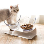 Non Slip Double Cat Bowl With Raised Stand Pet Food Cat Feed | Other