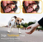 Funny Pet Dog Squeaky Toy For Small Middle Dogs Bite Resista | Electronic Learning Toys
