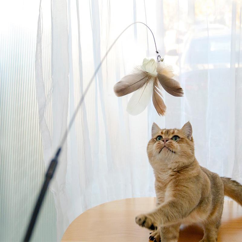 Retractable Laser Cat Stick Toy Cat Toy Ballskitten Playing | Electronic Learning Toys