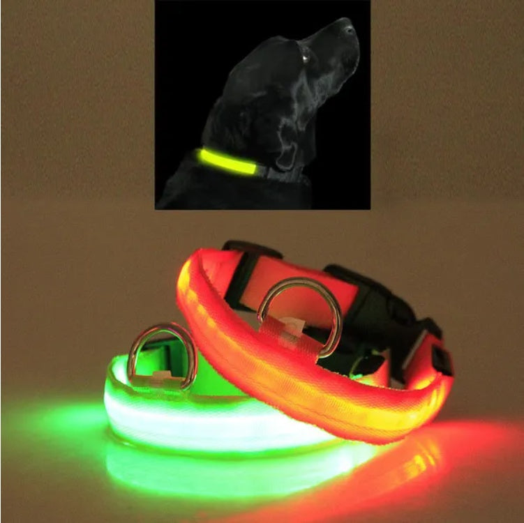 Led Pet Safety Halo Style Collar | Other