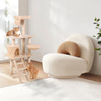 Cat Climbing Frame | Other