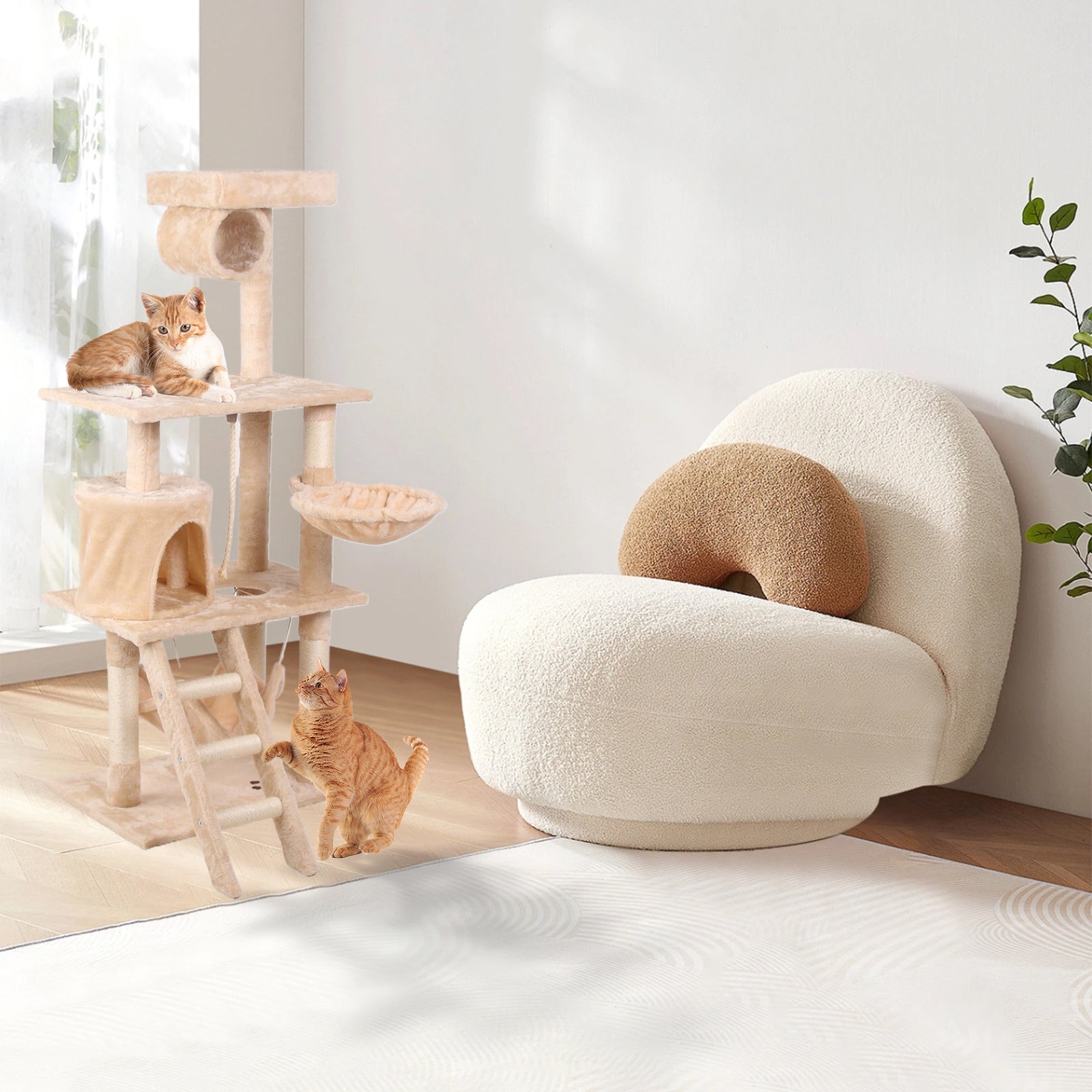 Cat Climbing Frame | Other