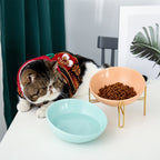 Pet Bowl Pet Supplies | Other