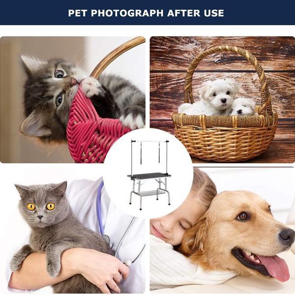 Pet Dog Grooming Table | Other