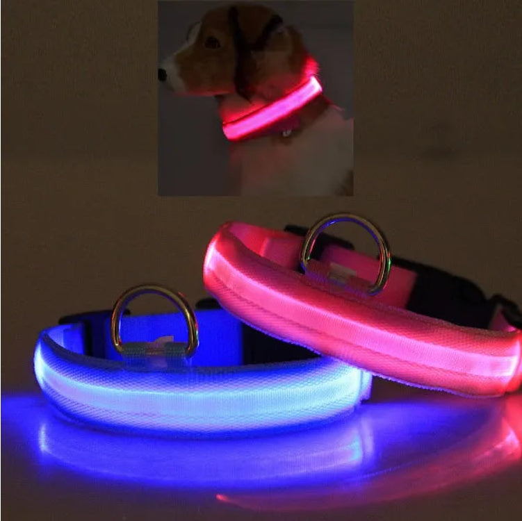 Led Pet Safety Halo Style Collar | Other