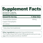 Bsys Moringa Capsules Antioxidant & Anti-inflammatory Suppo | Jewelry & Accessories