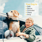 2pcs Pet Dog Seat Belt Leash Adjustable Pet Dog Cat Safety L | Other