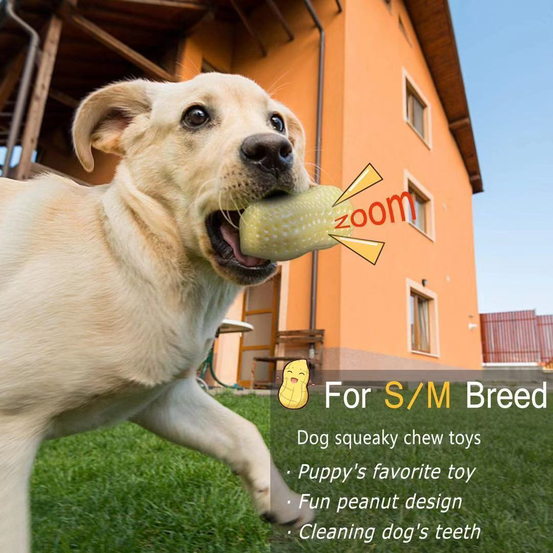 Funny Pet Dog Squeaky Toy For Small Middle Dogs Bite Resista | Electronic Learning Toys