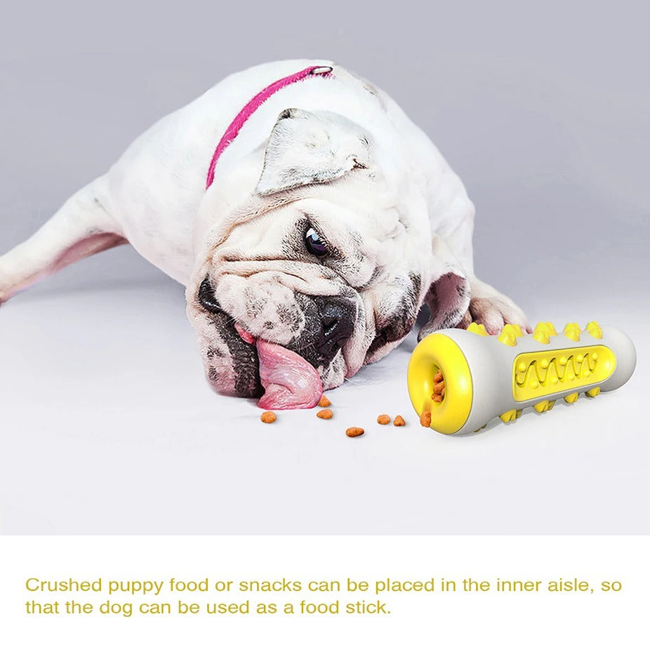 Dog Squeaky Toy For Aggressive Chewers, Tough Toothbrush Dog | Electronic Learning Toys