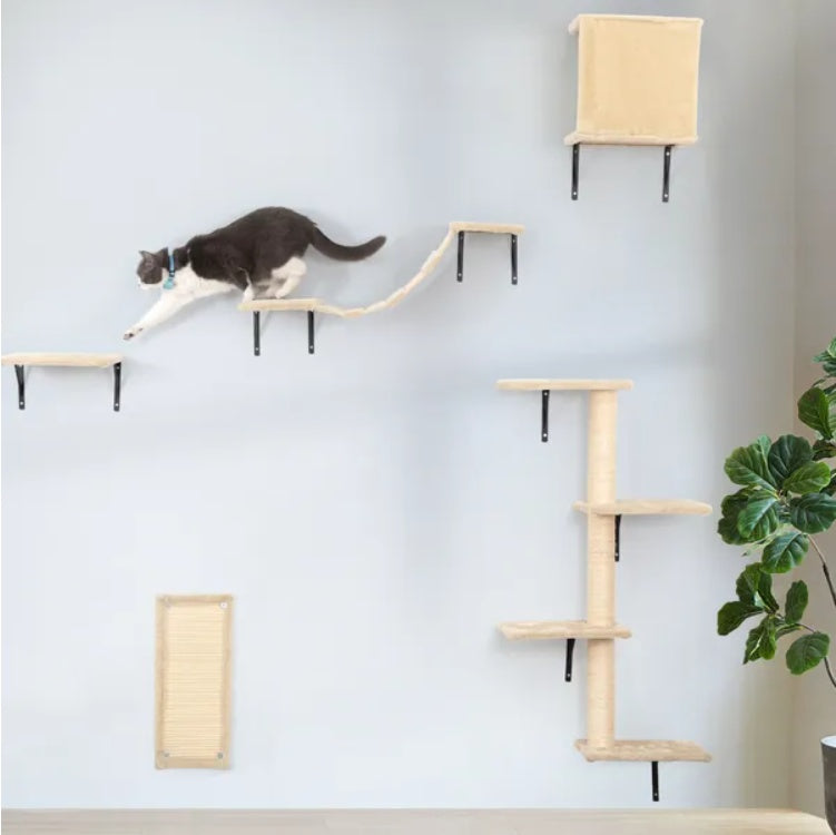 5 Pcs Wall Mounted Cat Climber Set Floating Cat Shelves And | Other