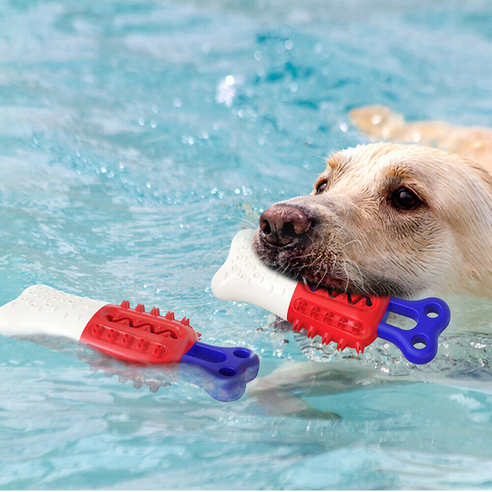 Floatable Pet Dog Cleaning Teeth Chew Toy Cooling Thirst Que | Electronic Learning Toys